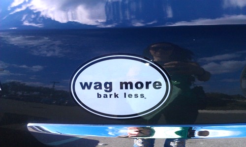 Wag more