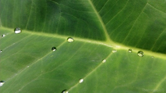 LeafyGreen